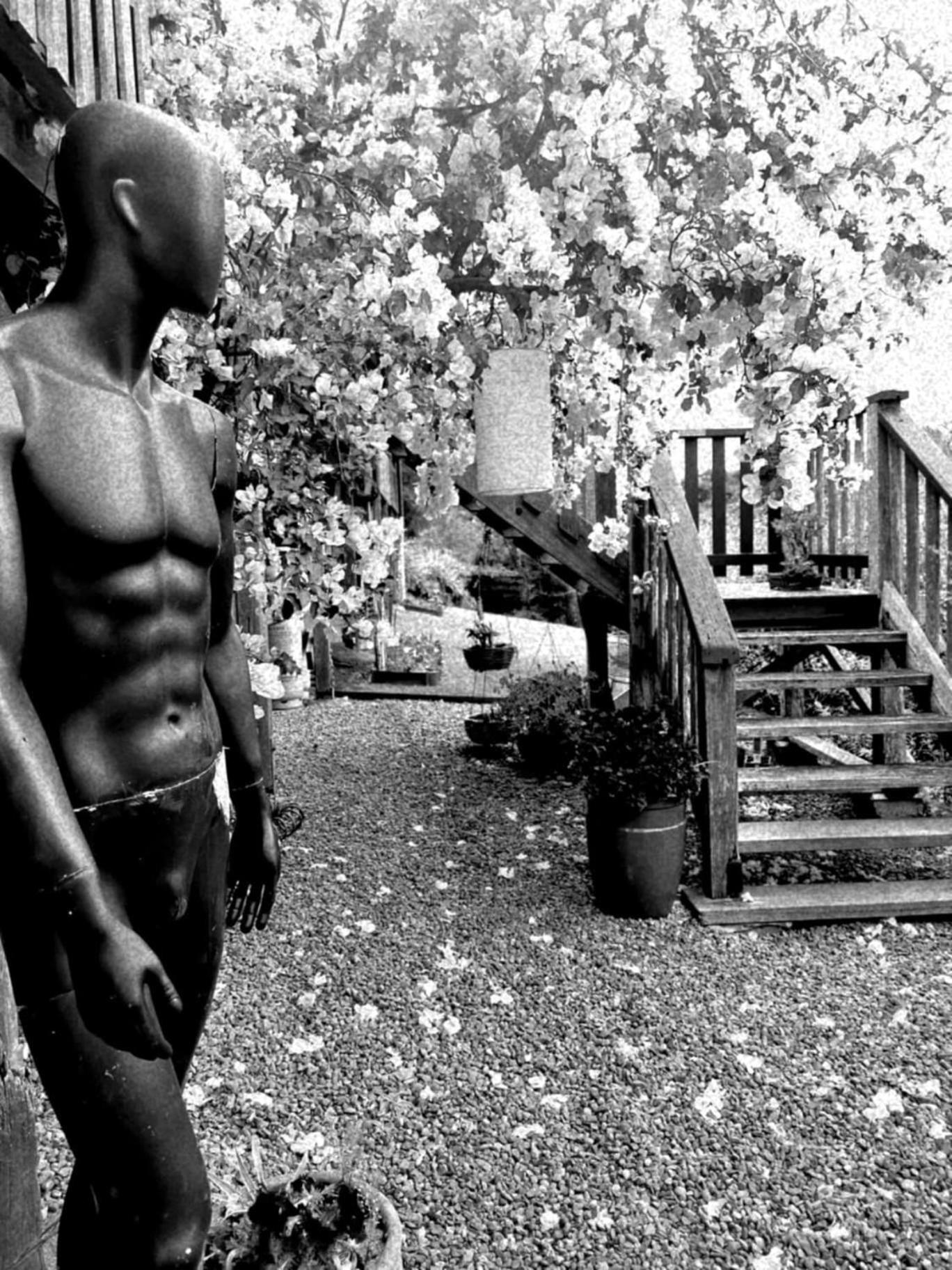 Wyndover Mountain Retreat Beechmont エクステリア 写真