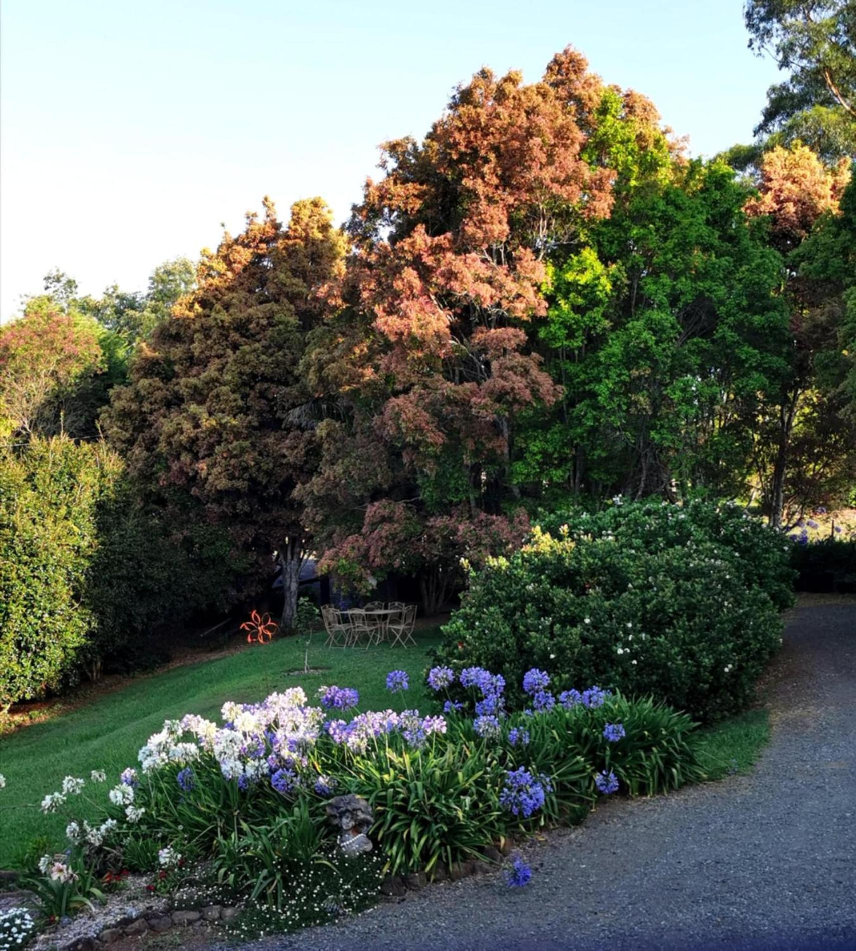 Wyndover Mountain Retreat Beechmont エクステリア 写真
