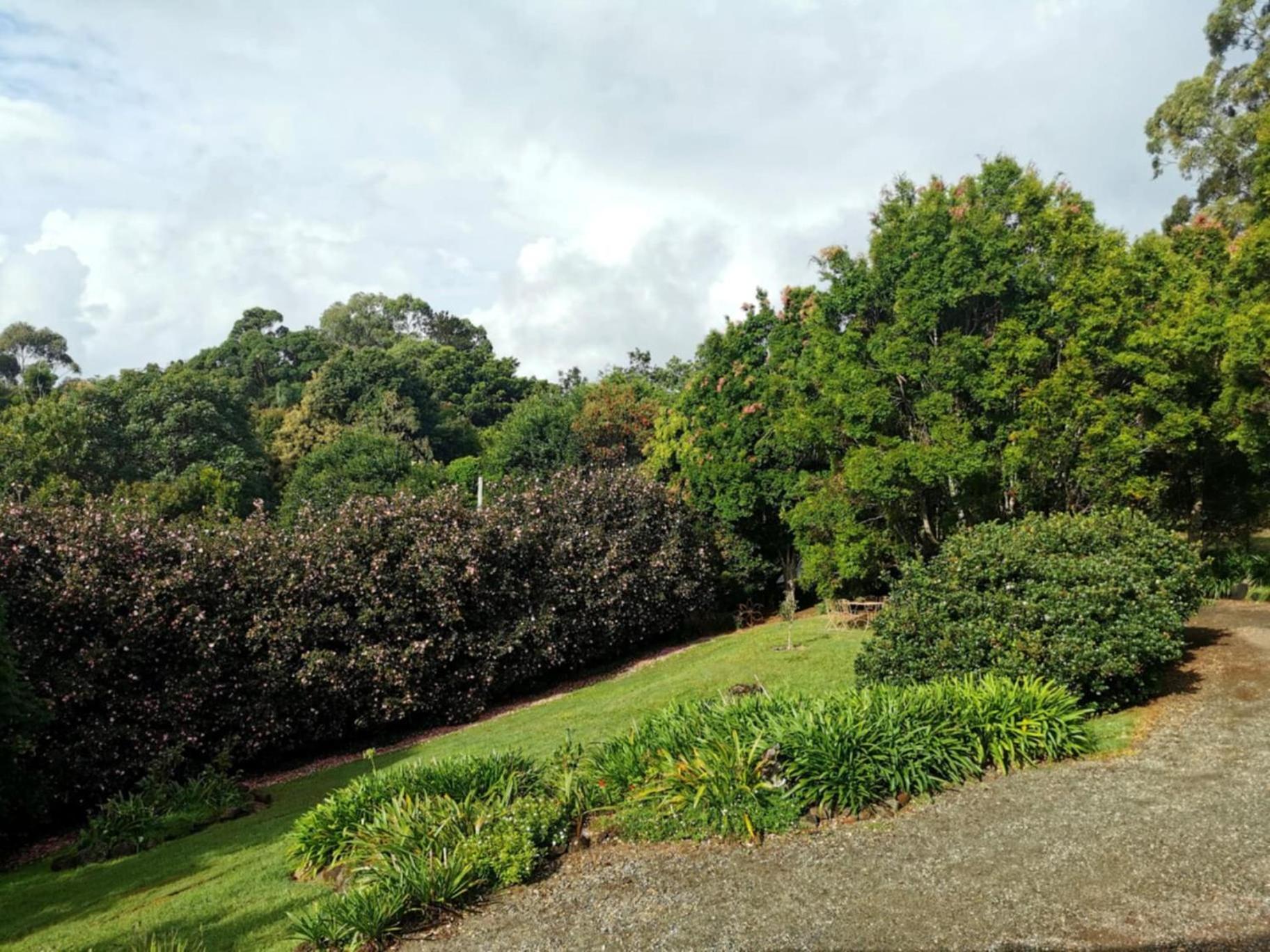 Wyndover Mountain Retreat Beechmont エクステリア 写真