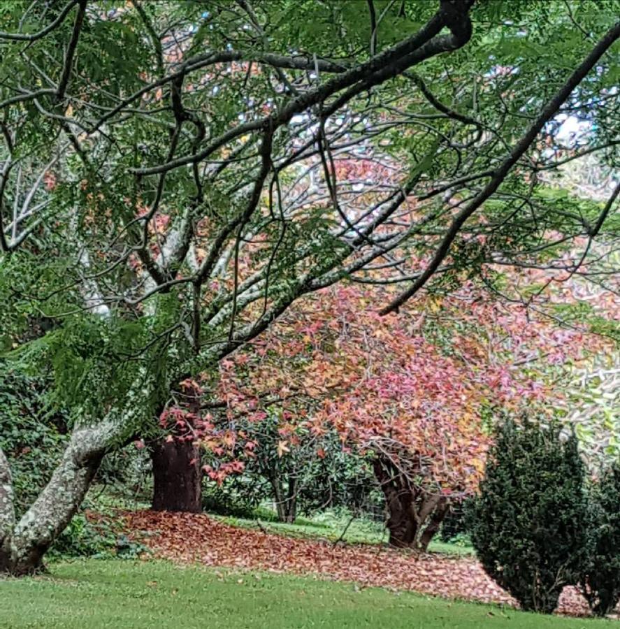 Wyndover Mountain Retreat Beechmont エクステリア 写真